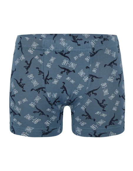 Трусы Боксеры для Мальчиков Boxer (Ассорти) 10 шт/уп Donella 758130 — прямые поставки из Турции