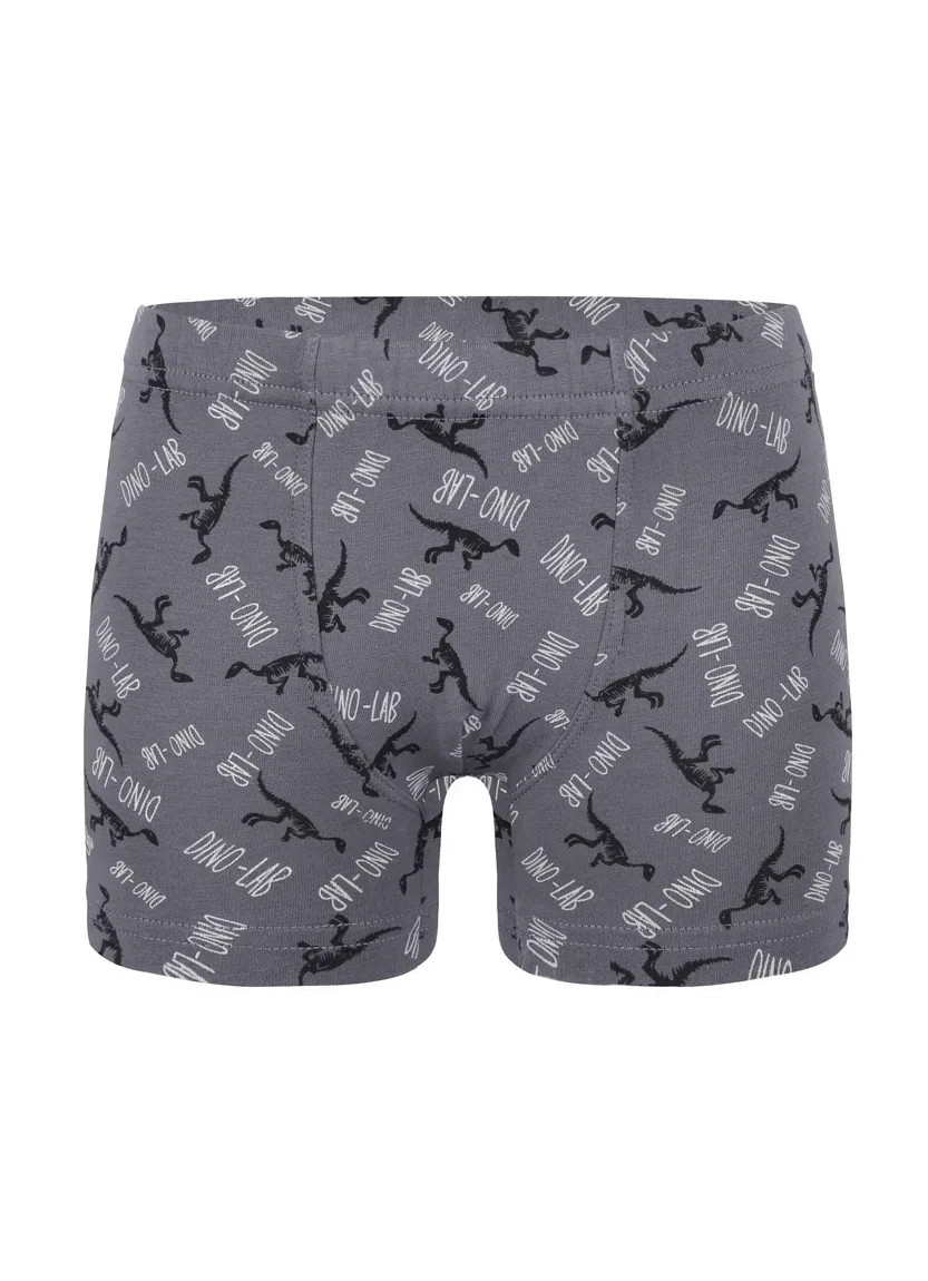Трусы Боксеры для Мальчиков Boxer (Ассорти) 10 шт/уп Donella 758130 — оптом от турецкой фабрики