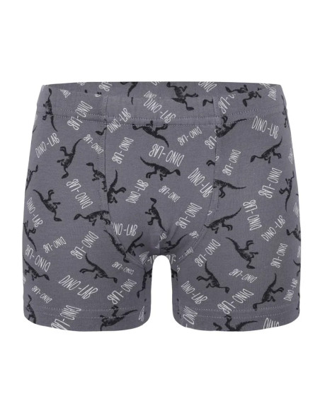 Donella 758130 Assorted 10-Pack Boys' Boxer Briefs — Turkish factory wholesale