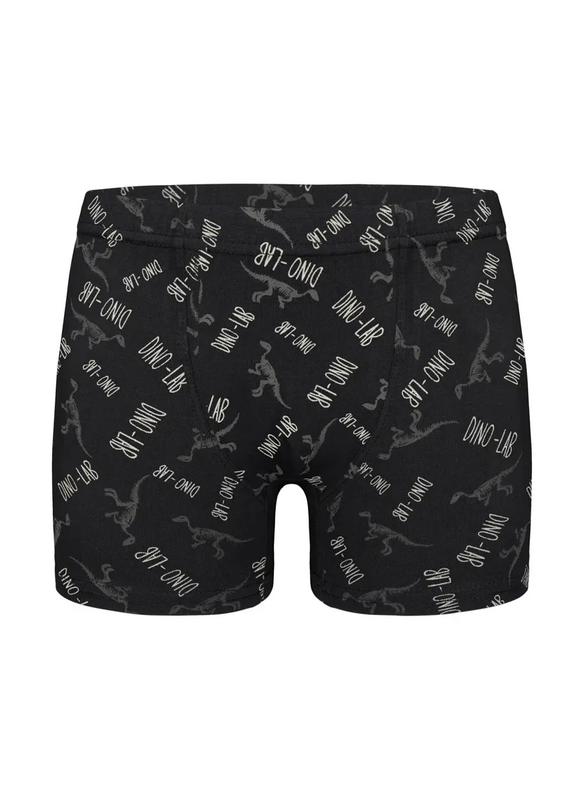 Трусы Боксеры для Мальчиков Boxer (Ассорти) 10 шт/уп Donella 758130 — купить оптом со Стамбула