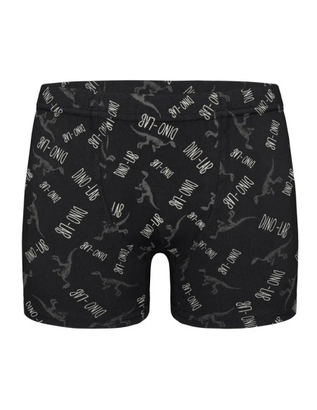 Donella 758130 Assorted 10-Pack Boys' Boxer Briefs — Istanbul wholesale supplier