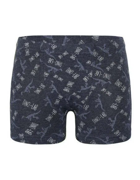 Donella 758130 Assorted 10-Pack Boys' Boxer Briefs — wholesale for boutiques
