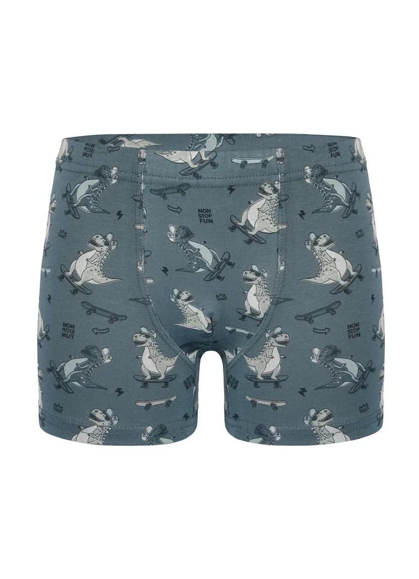 Трусы Боксеры для Мальчиков Boxer (Ассорти) 10 шт/уп Donella 758131 — турецкий текстиль оптом