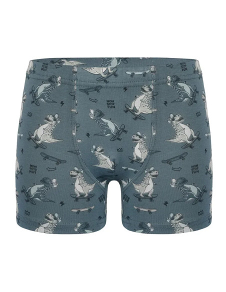 Трусы Боксеры для Мальчиков Boxer (Ассорти) 10 шт/уп Donella 758131 — турецкий текстиль оптом