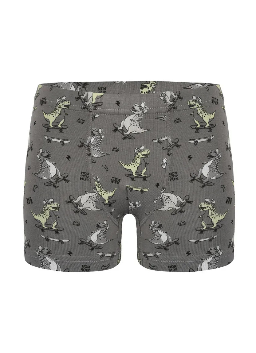 Трусы Боксеры для Мальчиков Boxer (Ассорти) 10 шт/уп Donella 758131 — купить оптом из Турции
