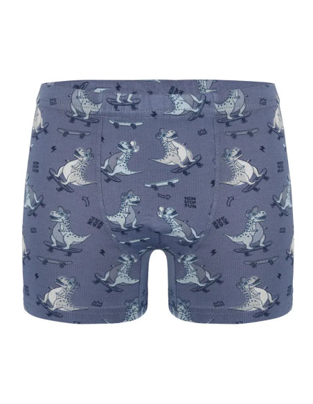 Трусы Боксеры для Мальчиков Boxer (Ассорти) 10 шт/уп Donella 758131 — оптовая поставка из Турции
