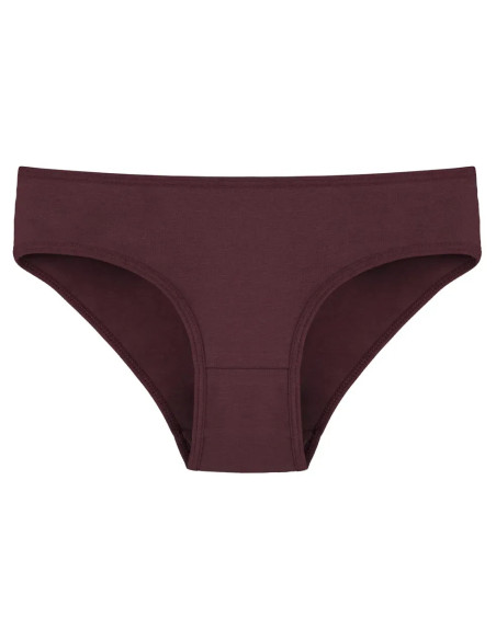Donella 2271PD28 Assorted 10-Pack Women's Briefs — wholesale for boutiques