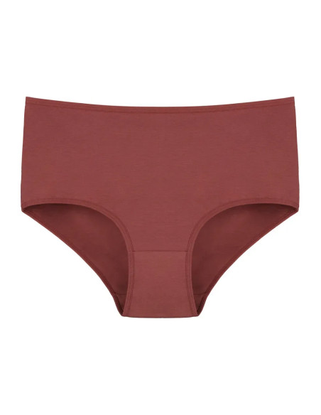 Donella 3571PD28 Assorted 10-Pack Women's Briefs — Istanbul wholesale supplier