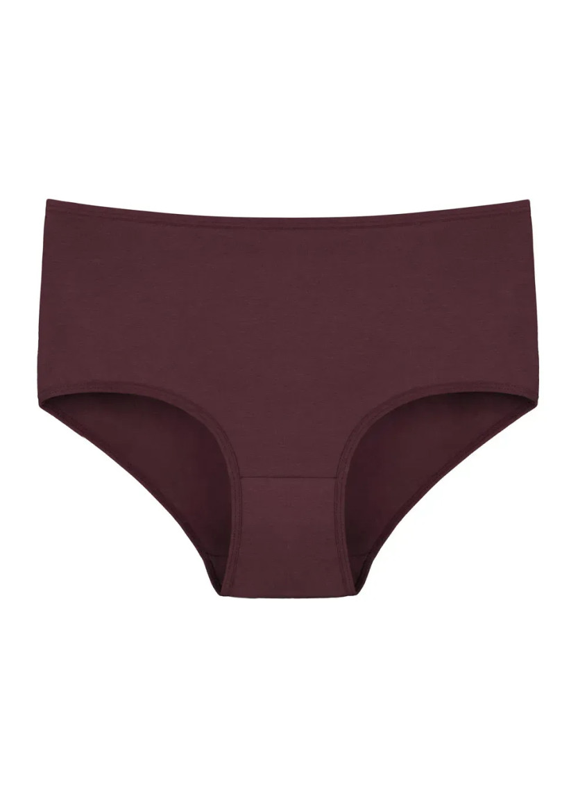 Donella 3571PD28 Assorted 10-Pack Women's Briefs — wholesale for boutiques