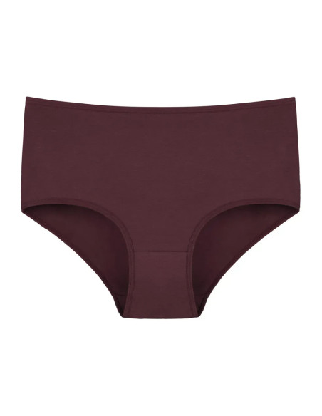 Donella 3571PD28 Assorted 10-Pack Women's Briefs — wholesale for boutiques