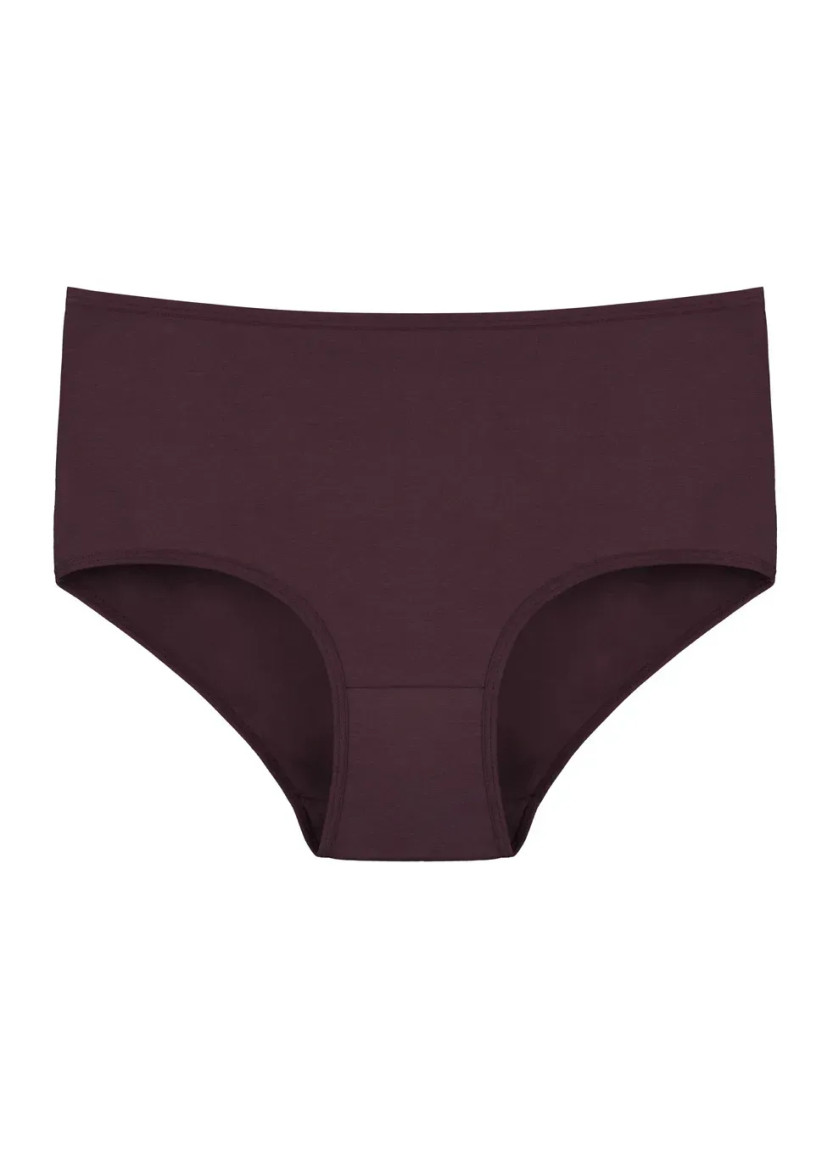 Donella 3571PD28 Assorted 10-Pack Women's Briefs — Turkish factory wholesale