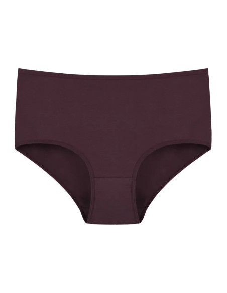 Donella 3571PD28 Assorted 10-Pack Women's Briefs — Turkish factory wholesale