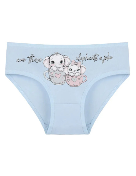 Donella 4171PB173 Assorted 10-Pack Girls' Briefs — Turkish textile wholesale
