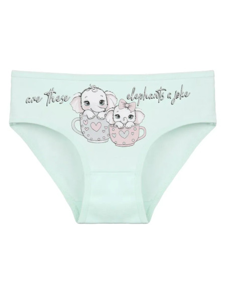 Donella 4171PB173 Assorted 10-Pack Girls' Briefs — direct Turkish factory supply