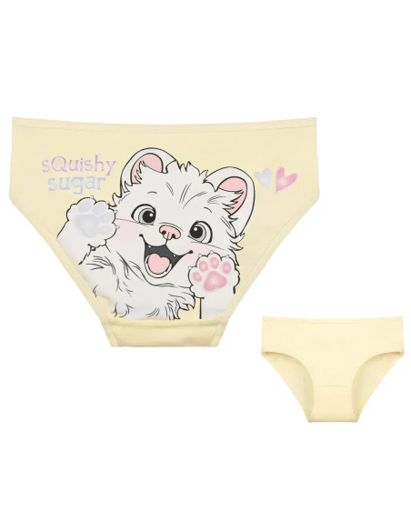 Donella 4171PB273 Assorted 10-Pack Girls' Briefs — wholesale from Turkey