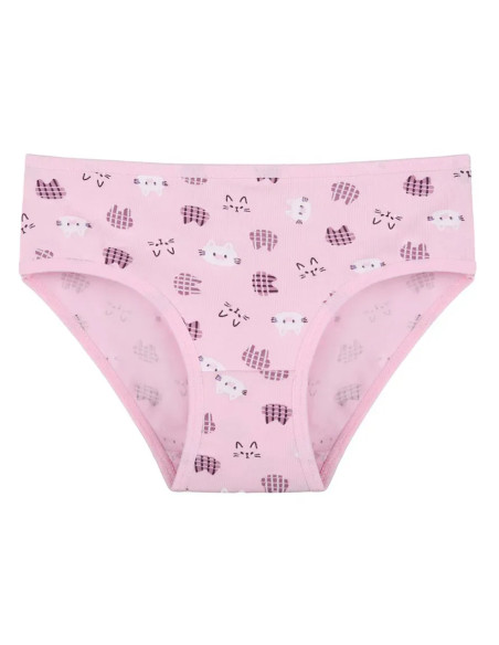 Donella 418129 Assorted 10-Pack Girls' Briefs — Turkey wholesale collection