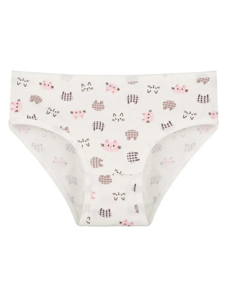 Donella 418129 Assorted 10-Pack Girls' Briefs — Istanbul wholesale supplier