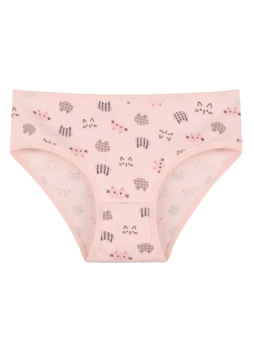 Donella 418129 Assorted 10-Pack Girls' Briefs — wholesale for boutiques