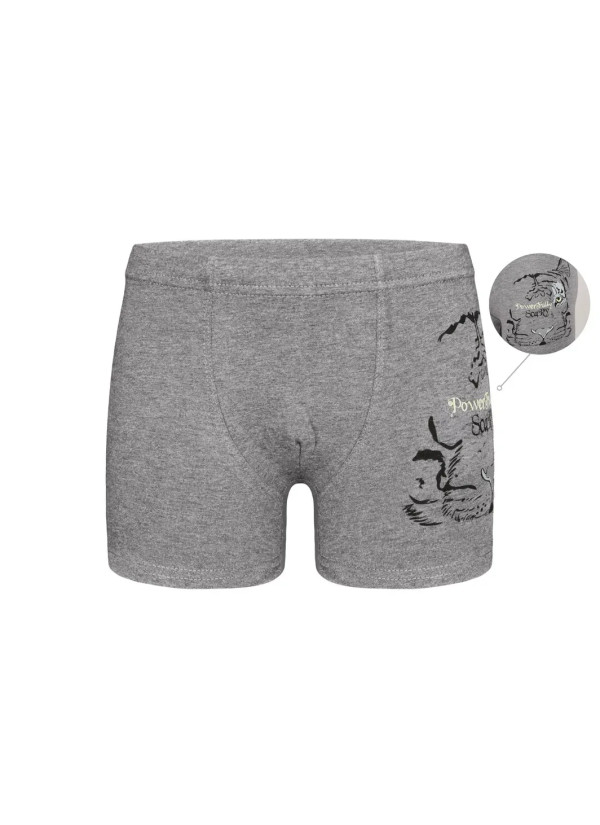 Трусы Боксеры для Мальчиков Boxer (Ассорти) 10 шт/уп Donella 7571PB30 — оптовая поставка из Турции 2