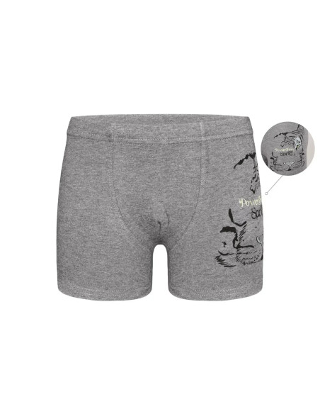 Трусы Боксеры для Мальчиков Boxer (Ассорти) 10 шт/уп Donella 7571PB30 — турецкий текстиль оптом