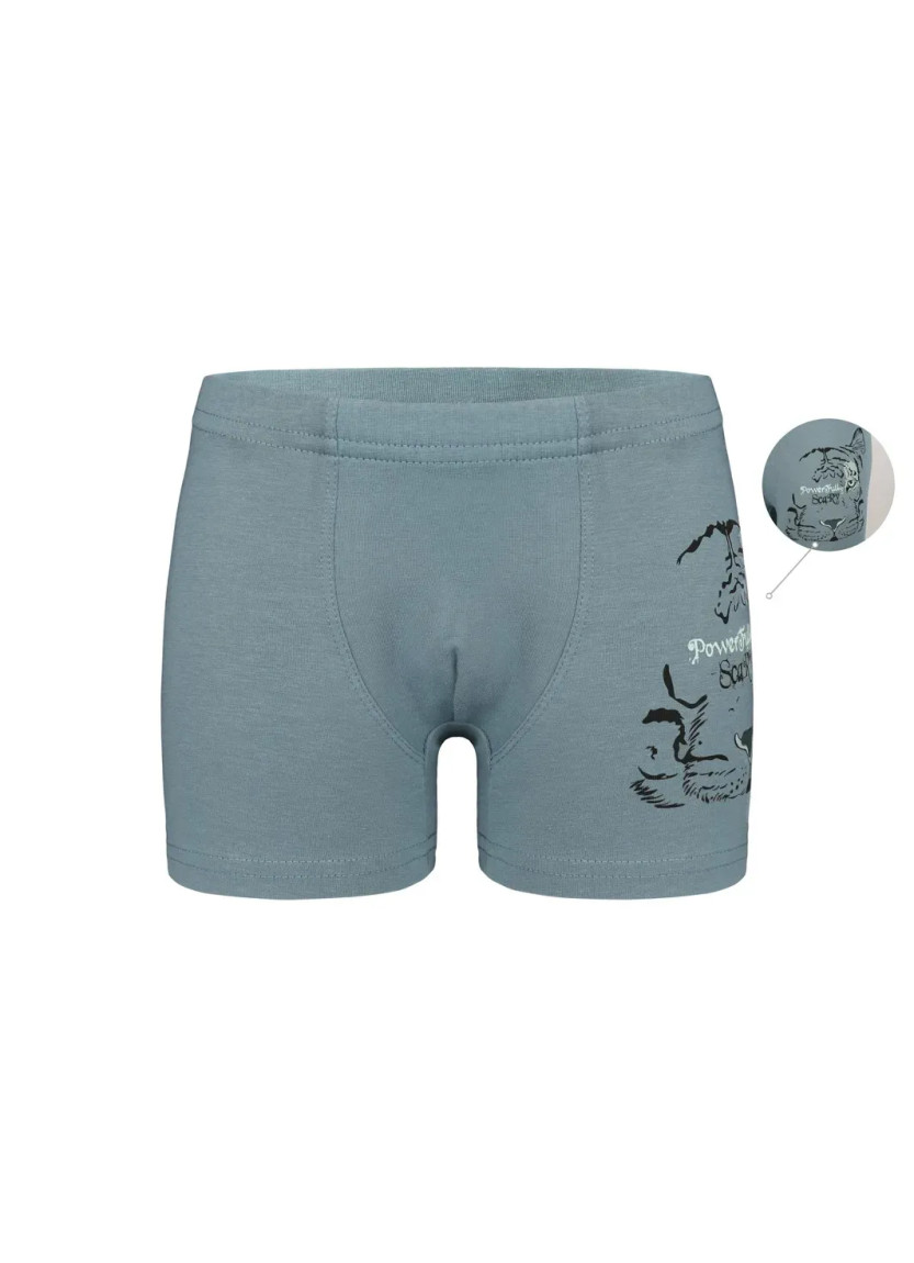 Трусы Боксеры для Мальчиков Boxer (Ассорти) 10 шт/уп Donella 7571PB30 — оптом для магазинов и бутиков
