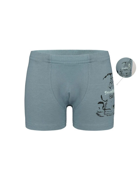 Трусы Боксеры для Мальчиков Boxer (Ассорти) 10 шт/уп Donella 7571PB30 — оптом для магазинов и бутиков