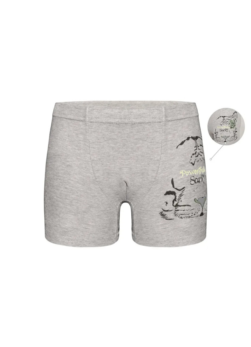 Panties Boxers for Boys' Boxer (Assorted) 10 pcs/pack Donella 7571PB30 — wholesale from Turkey