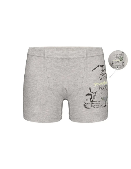 Трусы Боксеры для Мальчиков Boxer (Ассорти) 10 шт/уп Donella 7571PB30 — купить оптом из Турции