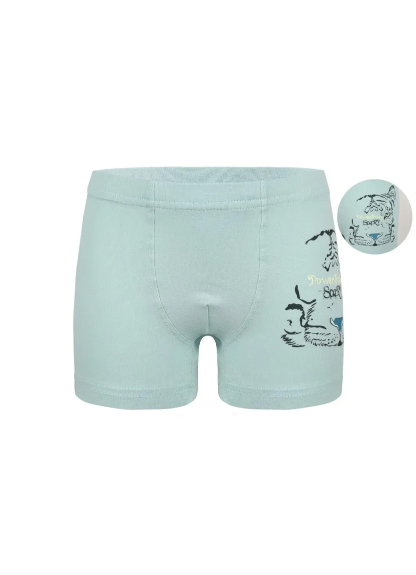 Трусы Боксеры для Мальчиков Boxer (Ассорти) 10 шт/уп Donella 7571PB30 — оптовая поставка из Турции