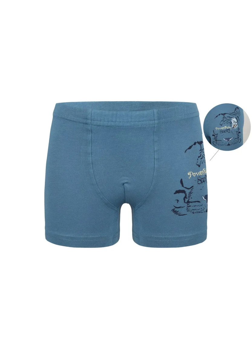 Трусы Боксеры для Мальчиков Boxer (Ассорти) 10 шт/уп Donella 7571PB30 — турецкий текстиль оптом