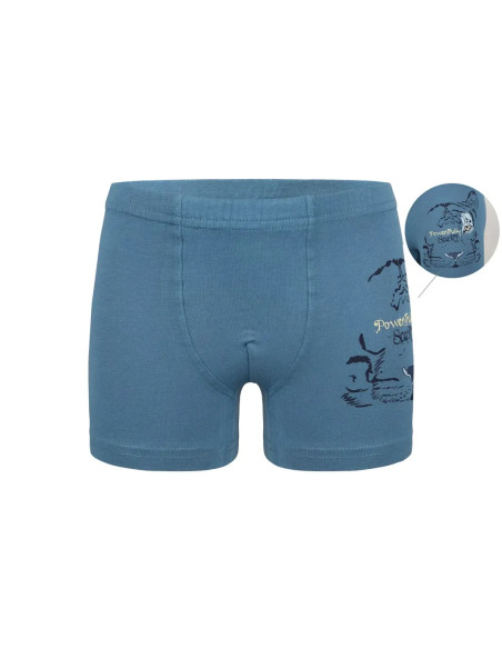 Трусы Боксеры для Мальчиков Boxer (Ассорти) 10 шт/уп Donella 7571PB30 — турецкий текстиль оптом