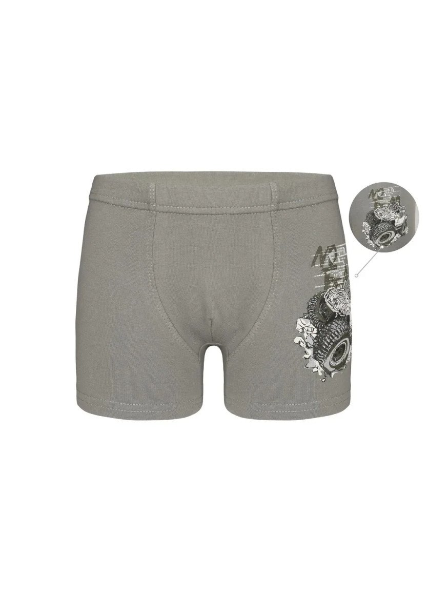 Panties Boxers for Boys' Boxer (Assorted) 10 pcs/pack Donella 7571PB31 — Turkey wholesale collection