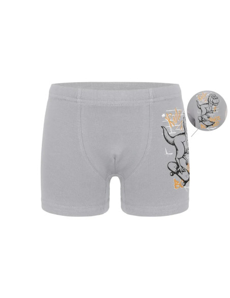 Трусы Боксеры для Мальчиков Boxer (Ассорти) 10 шт/уп Donella 7571PB40 — оптовая поставка из Турции