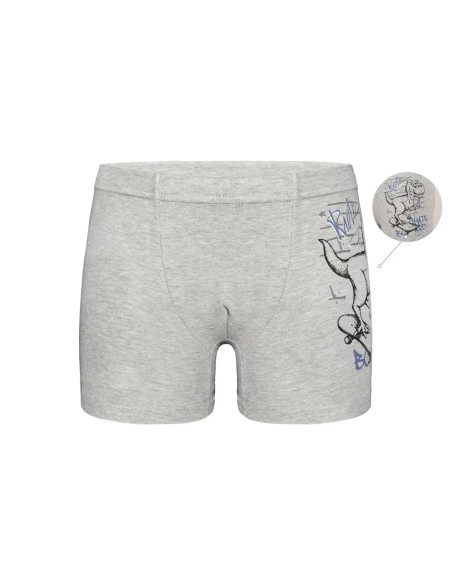 Panties Boxers for Boys' Boxer (Assorted) 10 pcs/pack Donella 7571PB40 — Turkish textile wholesale