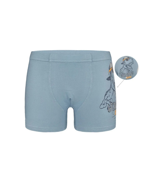 Panties Boxers for Boys' Boxer (Assorted) 10 pcs/pack Donella 7571PB40 — direct Turkish factory supply