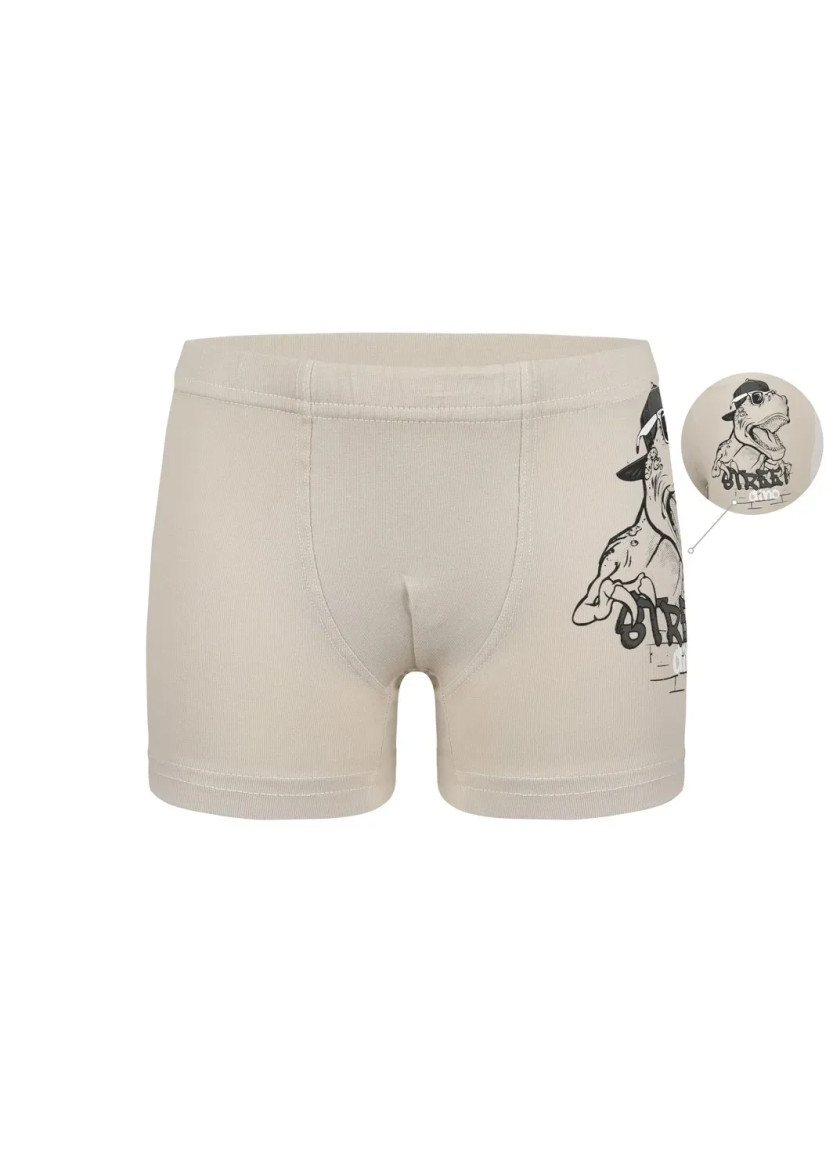 Panties Boxers for Boys' Boxer (Assorted) 10 pcs/pack Donella 7571PB40 — wholesale from Turkey