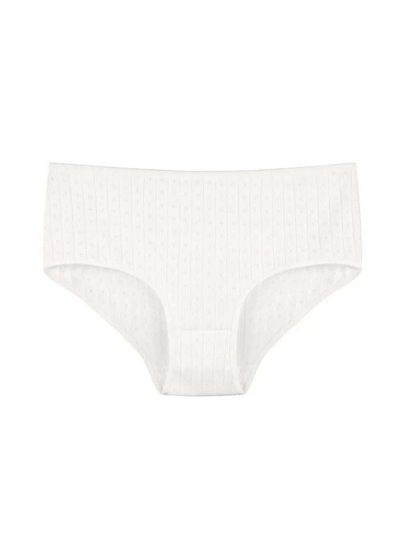 Women's Panties (Assorted) 10 pcs/pack. Donella 2540PD1 — Turkish factory wholesale