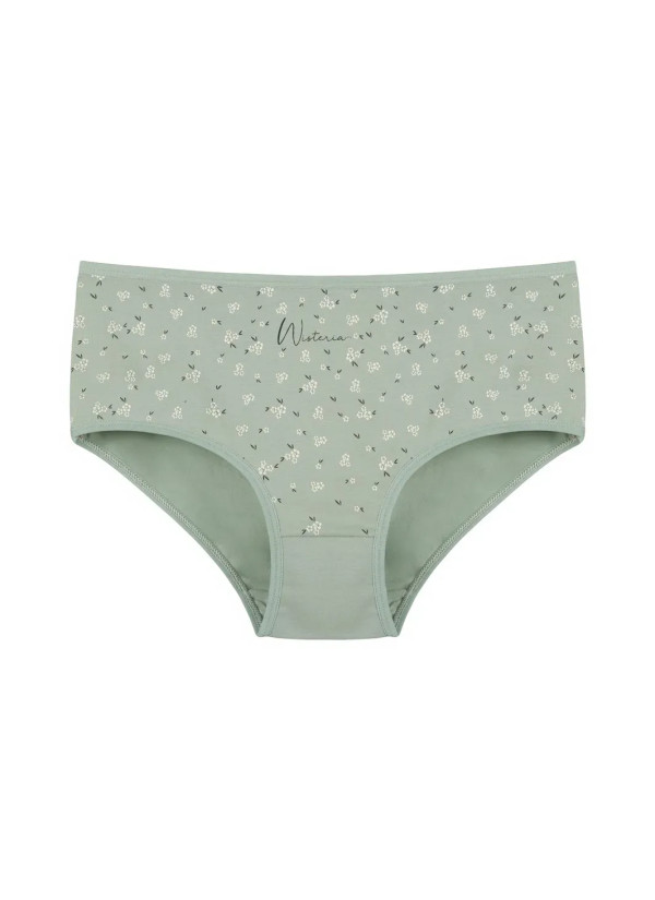 Women's Panties (Assorted) 10 pcs/pack. Donella 2571PB279 — Turkey wholesale collection 2
