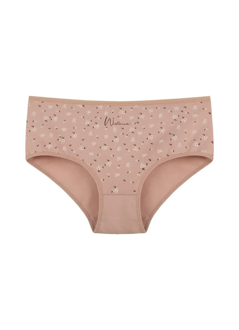 Women's Panties (Assorted) 10 pcs/pack. Donella 2571PB279 — wholesale for boutiques