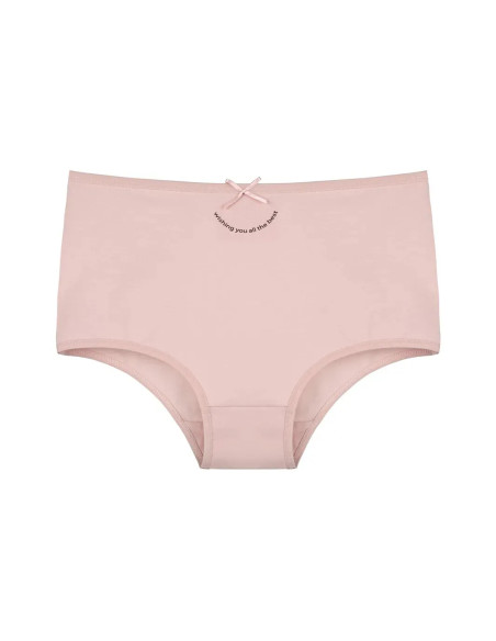 Women's Panties (Assorted) 10 pcs/pack. Donella 2671PB284 — wholesale from Turkey