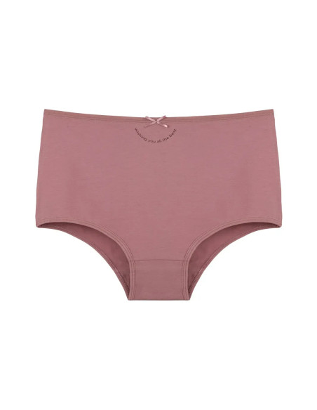 Women's Panties (Assorted) 10 pcs/pack. Donella 2671PB284 — Turkish textile wholesale