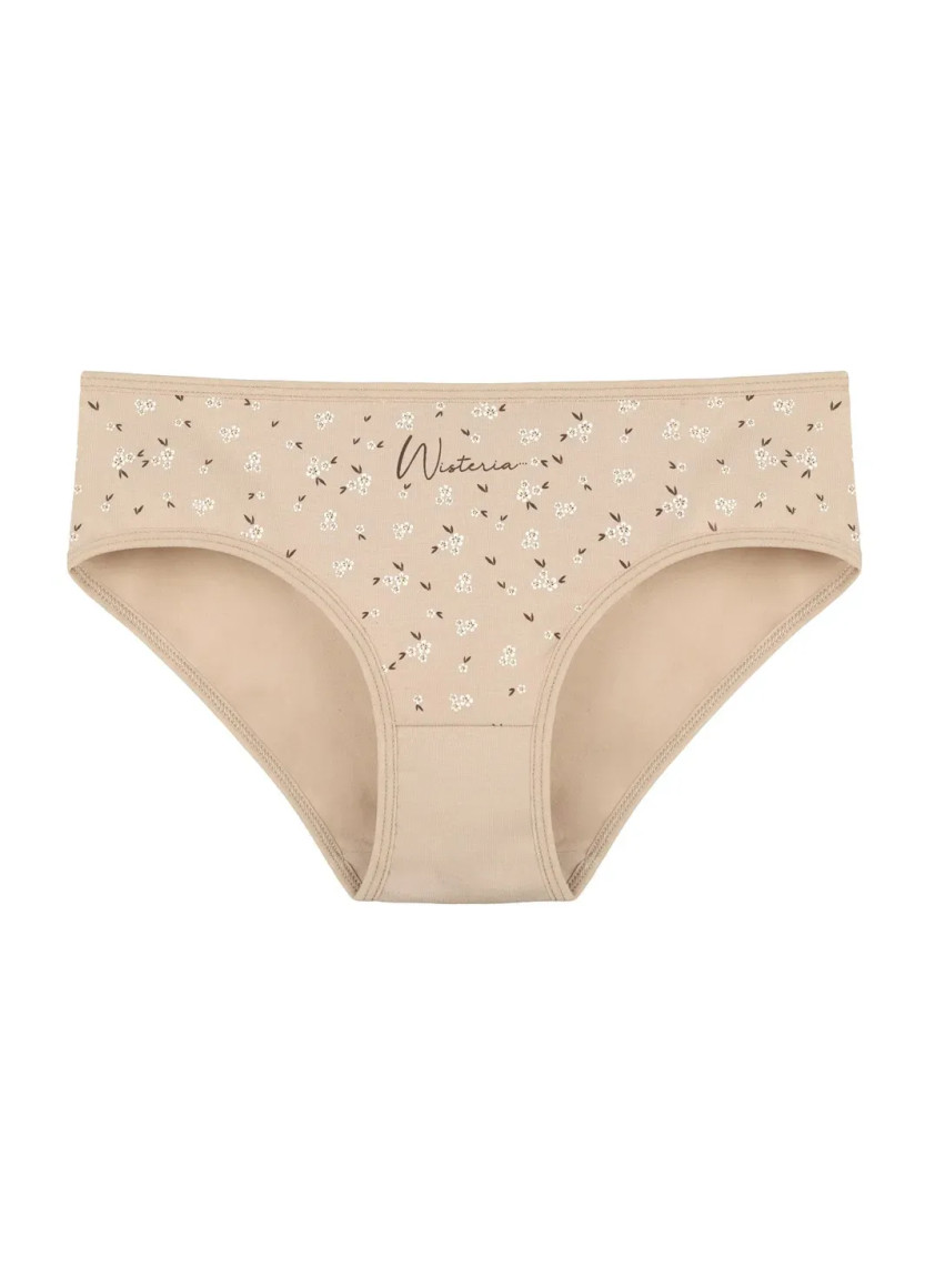 Women's Panties (Assorted) 10 pcs/pack. Donella 3171PB279 — Istanbul wholesale supplier