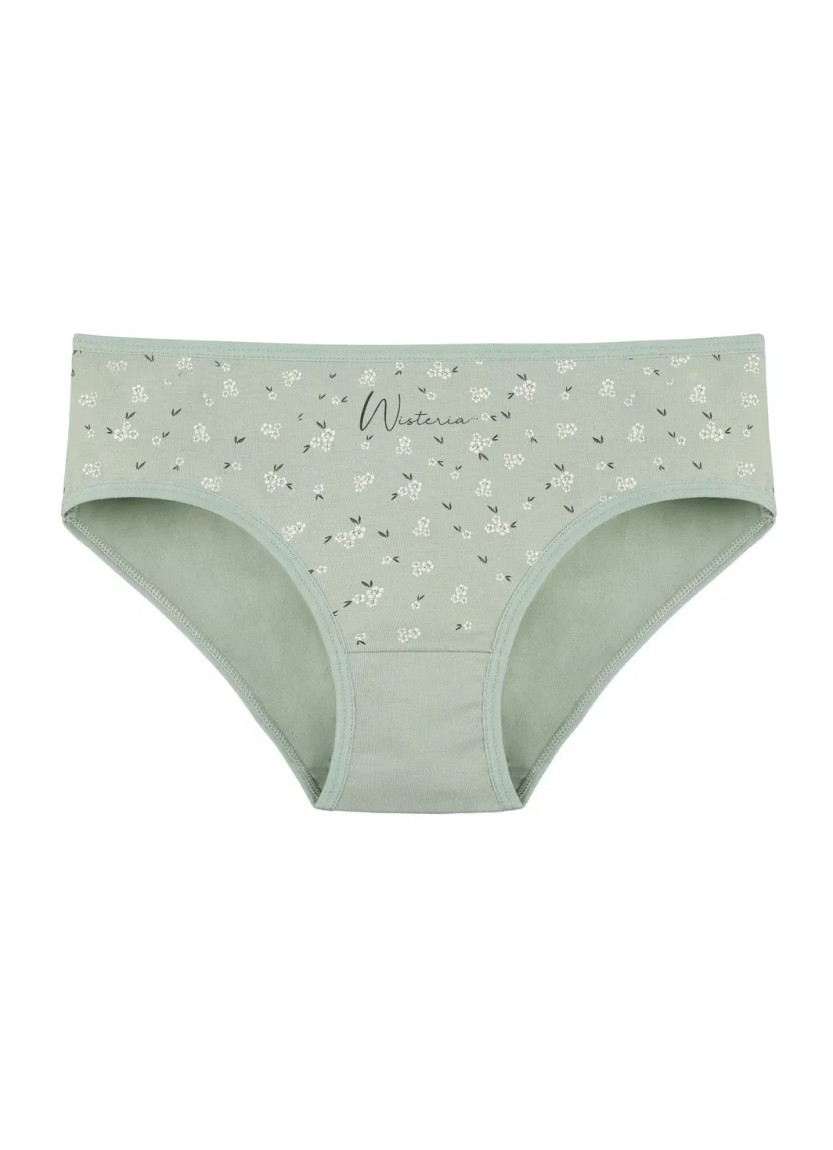 Women's Panties (Assorted) 10 pcs/pack. Donella 3171PB279 — wholesale for boutiques