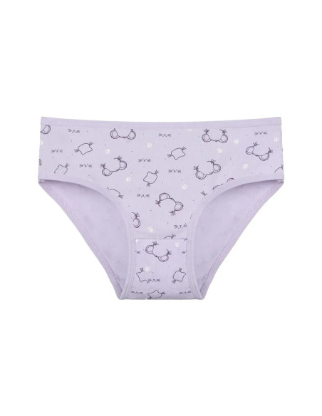 Panties for Girls' (Assorted) 10 pcs/pack. Donella 411534 — Turkish textile wholesale