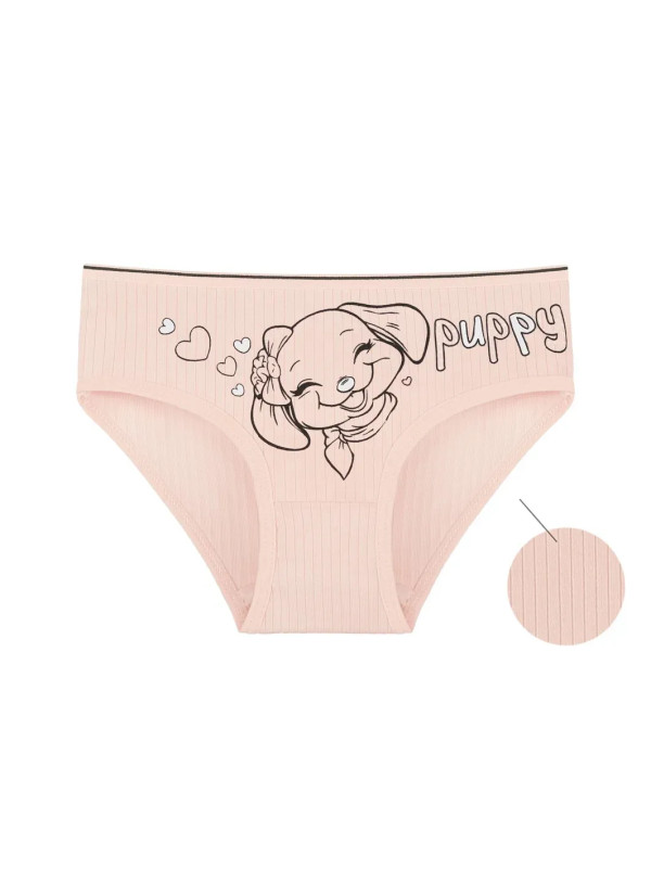 Panties for Girls' (Assorted) 10 pcs/pack. Donella 4123PB2 — Istanbul wholesale supplier 2