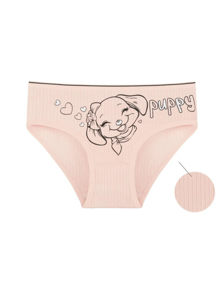 Panties for Girls' (Assorted) 10 pcs/pack. Donella 4123PB2 — wholesale for boutiques