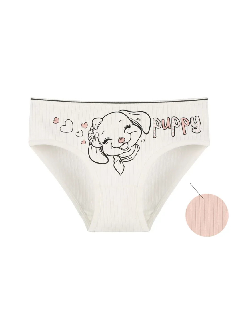 Panties for Girls' (Assorted) 10 pcs/pack. Donella 4123PB2 — wholesale for boutiques