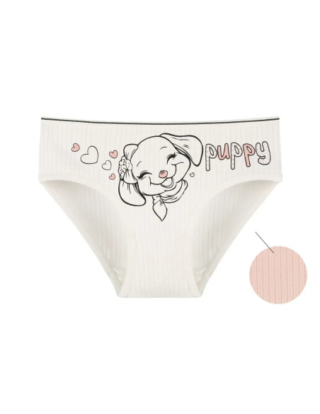 Panties for Girls' (Assorted) 10 pcs/pack. Donella 4123PB2 — wholesale for boutiques