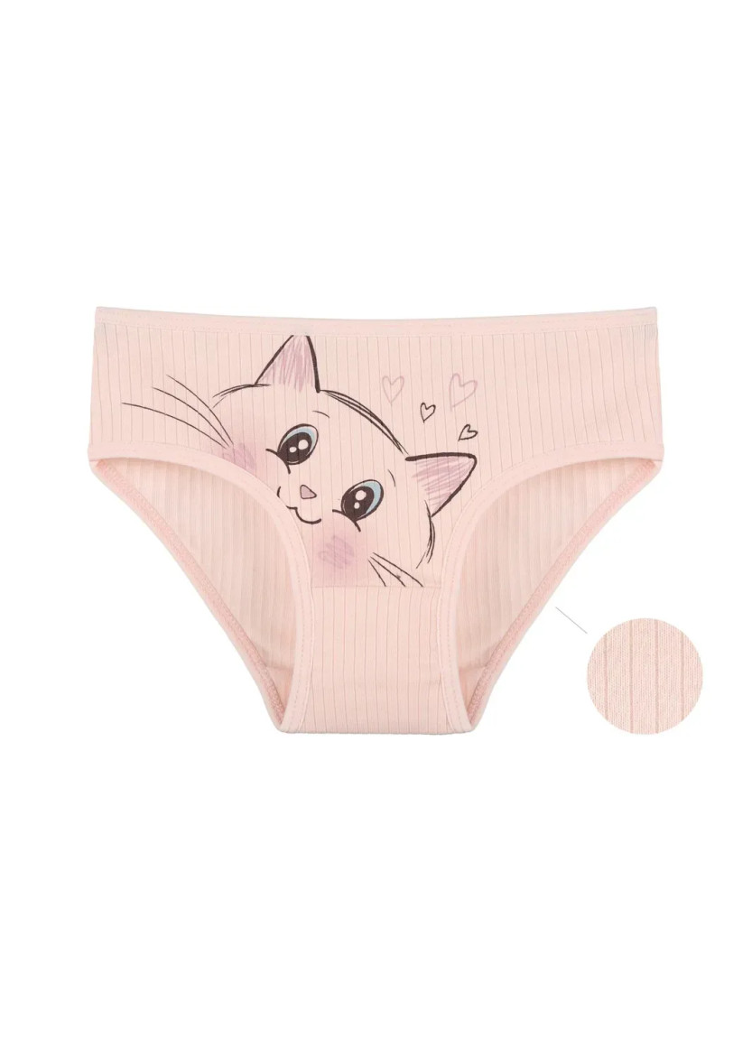 Panties for Girls' (Assorted) 10 pcs/pack. Donella 4123PB3 — Turkish textile wholesale