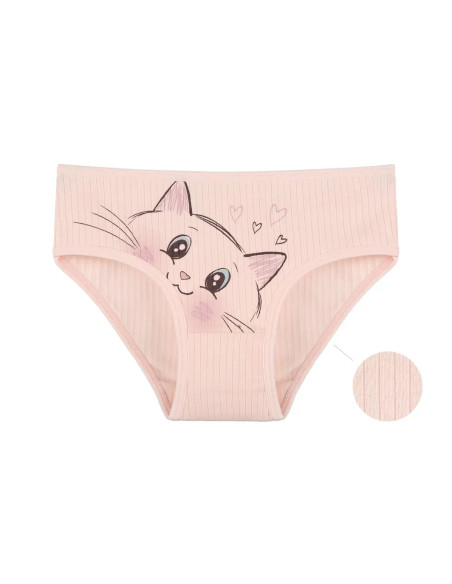 Panties for Girls' (Assorted) 10 pcs/pack. Donella 4123PB3 — Turkish textile wholesale
